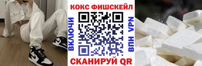 Кокаин Fish Scale  MEGA как войти  Родники  наркошоп 