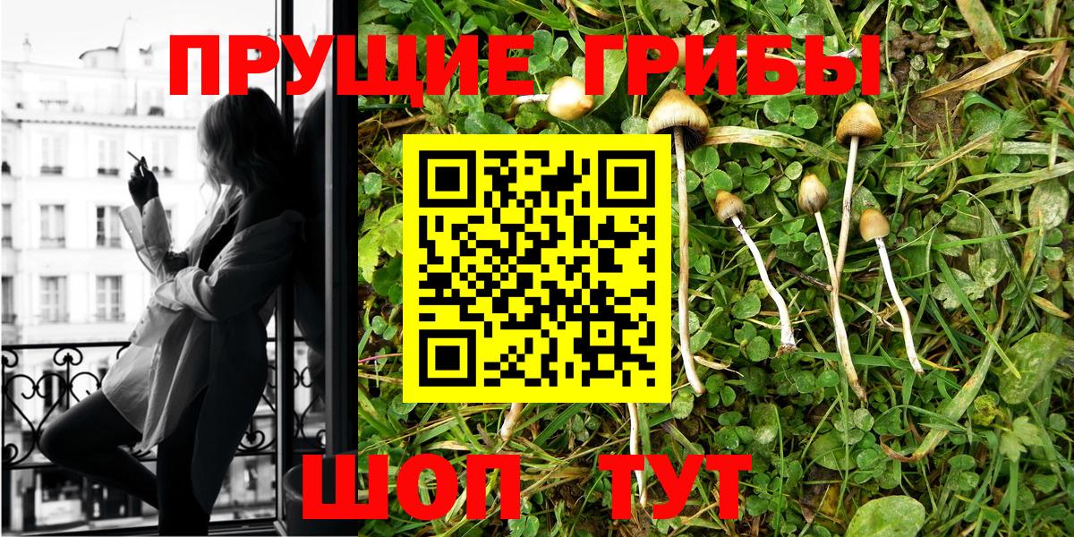 Родники  Галлюциногенные грибы Cubensis  Вход с VPN  Галлюциногенные грибы мухоморы 